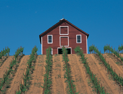 Agricultural Gypsum